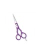 Professional Hair Cutting Scissors